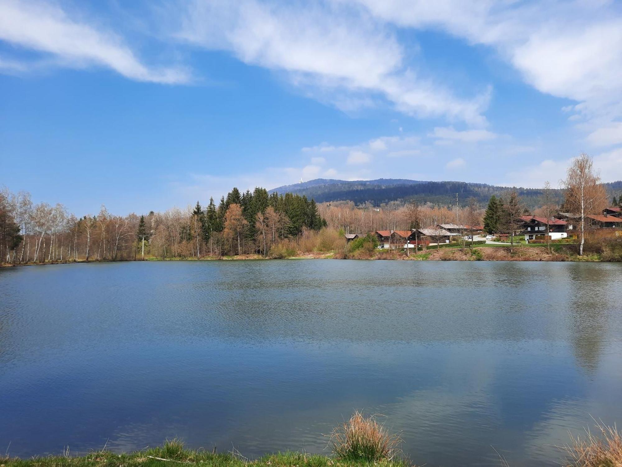 Fewo Bayerischer Wald Im Lamer Winkel Arrach Esterno foto