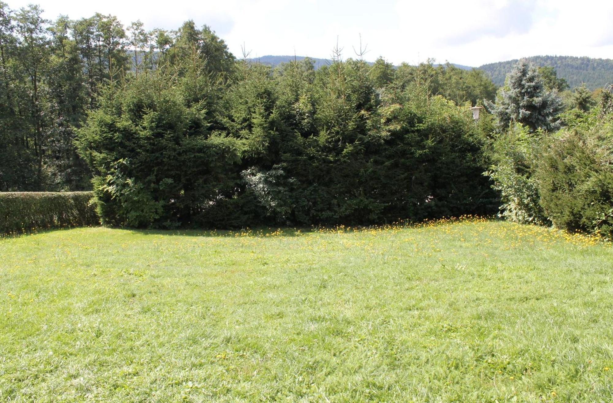 Fewo Bayerischer Wald Im Lamer Winkel Arrach Esterno foto